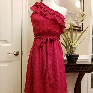 NWT Hazel One Shoulder Dress